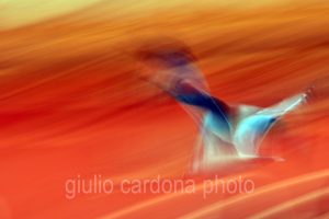 fotografia di categoria A due misure disponibili: 60cm x 90cm o inferiore. si consiglia: stampa su forex, alluminio o tela pittorica.