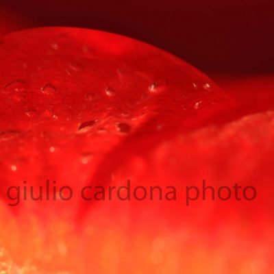 gelato alla fragola 50x75