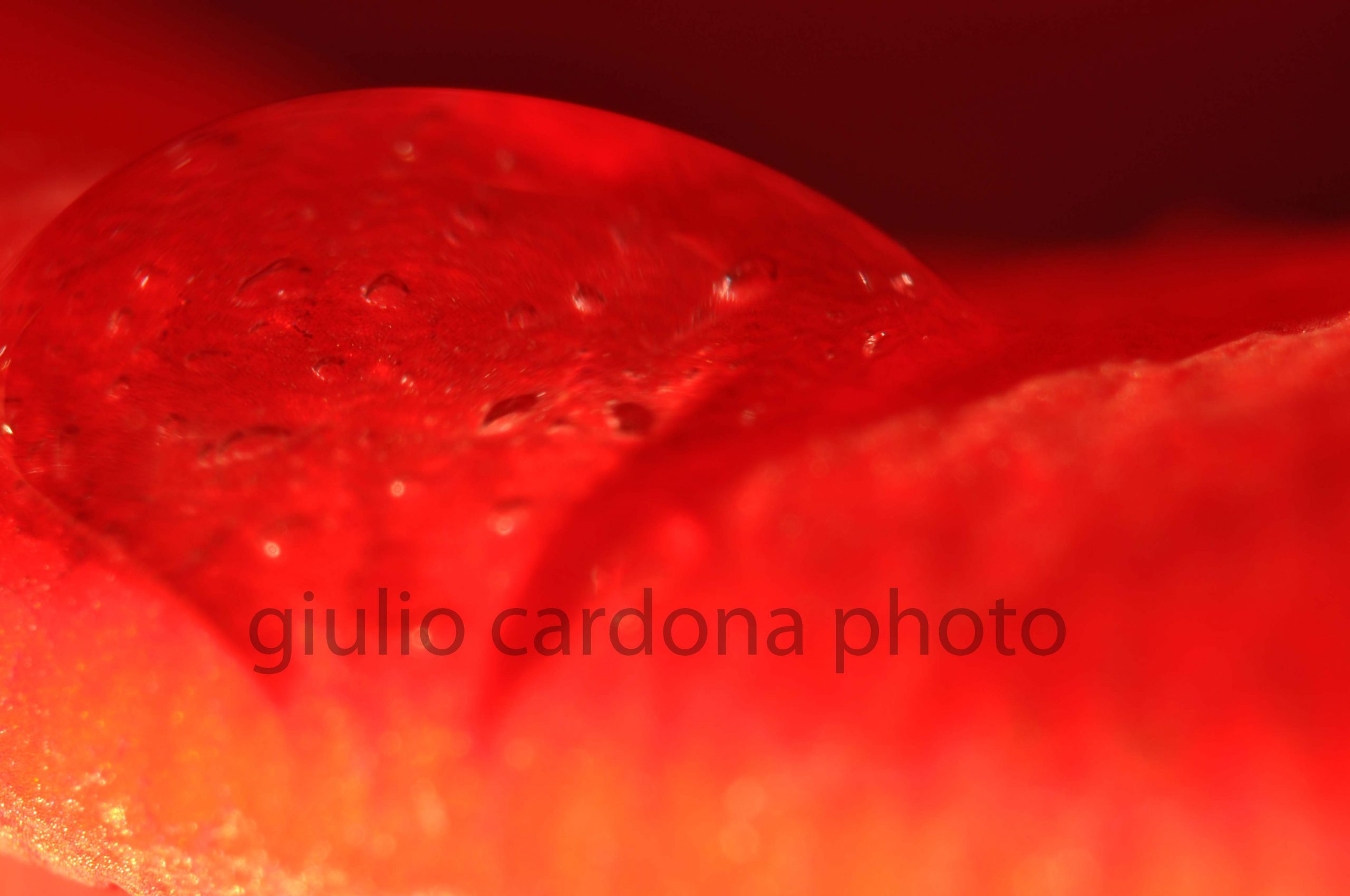 gelato alla fragola 50x75