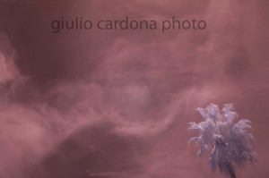 l'occhio divino 50x75
