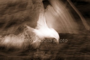 l'attimo 50x75