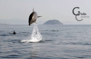 deflini-ad-alassio-283732